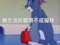 文案拽沙雕男生，文案拽沙雕男生霸气