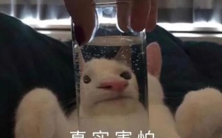 姐妹发自拍文案沙雕幽默，姐妹发自拍文案沙雕幽默句子