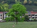 溪水游玩苏州攻略，溪水游玩苏州攻略一日游