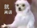 沙雕文案身份，沙雕文案段子